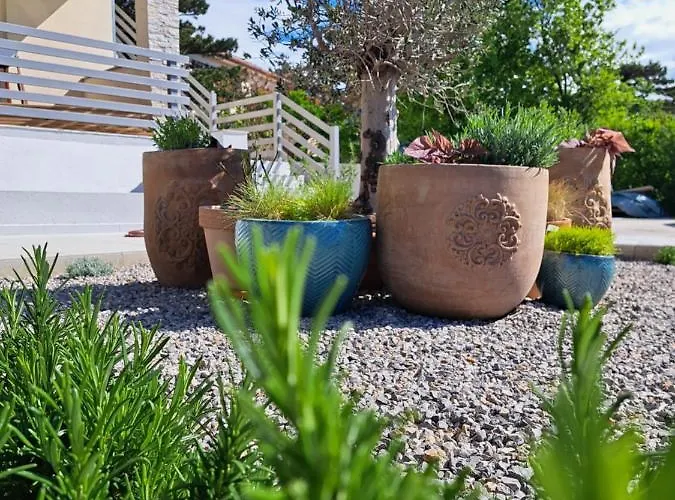 Apartament Aria - Health & Wellness App